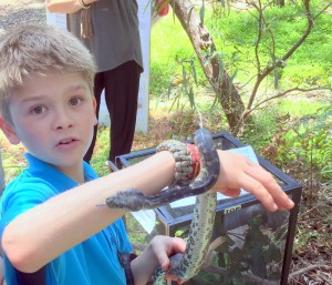 MRIS Nature Blitz ! 3 Jazz (Yr 5) handles a snake at BioBlitz