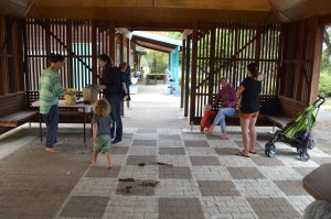 BUSY BEE 2016 at MRIS! 3 DSC_0005