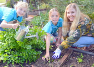 Gardening Gurus (l-r): MRIS Year 3 students Matilda Lukac and Pia Bawden plant new seedlings  with Class TA , Jodie Golebiowski. 