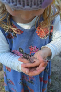 Enrolments for Little Indies Discovery School are now open for 2017 4 Enrolments for Little Indies Discovery School are now open for 2017 4