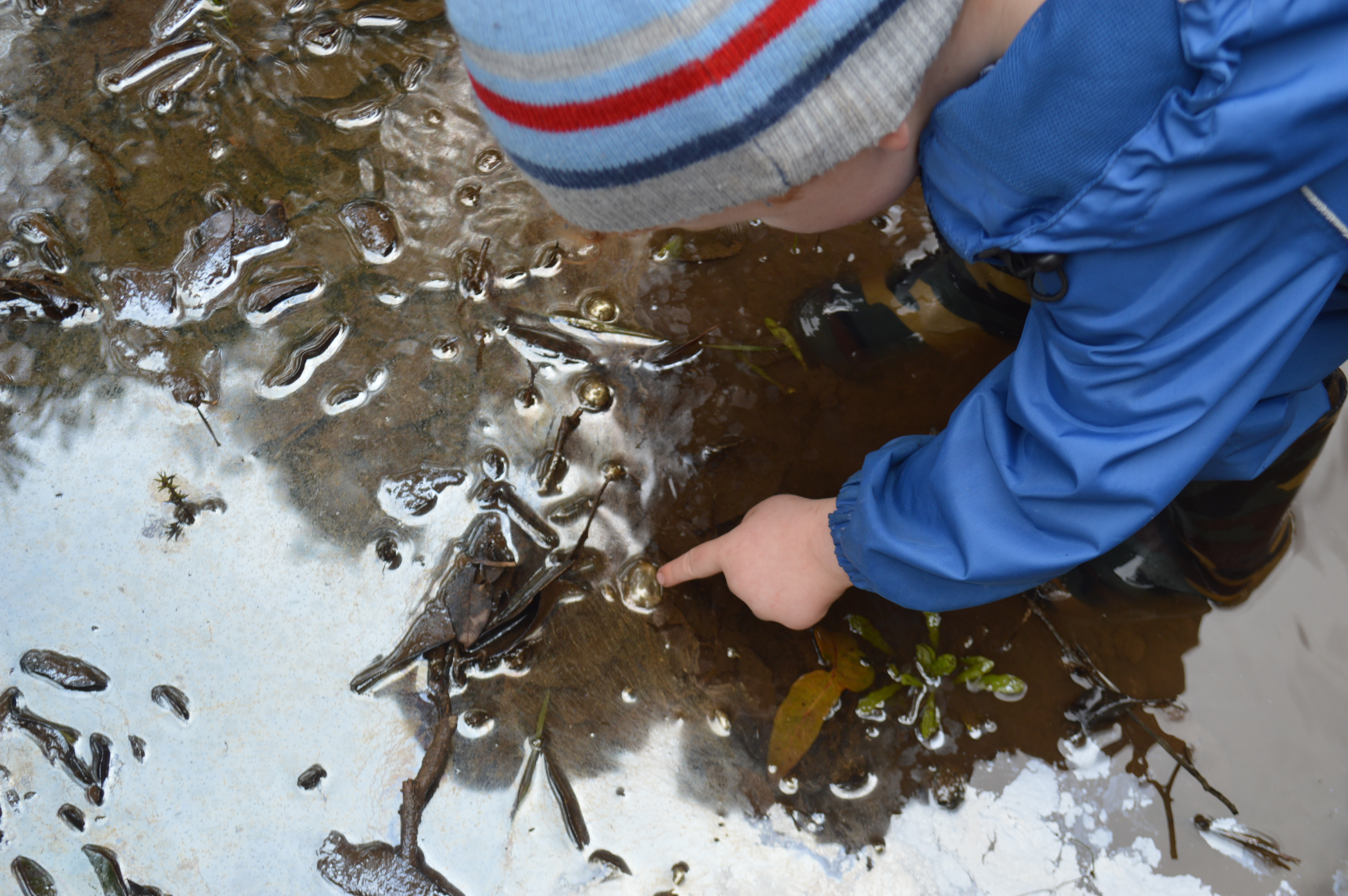 MRIS features in Maggie Dent's top Nature Play picks! 1