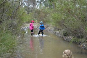 MRIS features in Maggie Dent's top Nature Play picks! 8 MRIS features in Maggie Dent's top Nature Play picks! 8