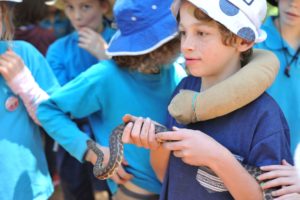 MRIS at Bio Blitz 2018. 6 MRIS at Bio Blitz 2018. 6