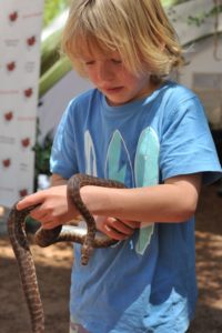 MRIS at Bio Blitz 2018. 7 MRIS at Bio Blitz 2018. 7