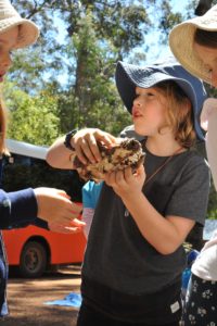 MRIS at Bio Blitz 2018. 10 MRIS at Bio Blitz 2018. 10