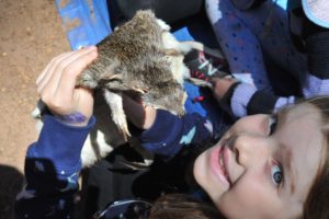 MRIS at Bio Blitz 2018. 13 MRIS at Bio Blitz 2018. 13