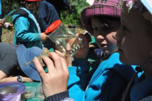 MRIS at Bio Blitz 2018. 14 MRIS at Bio Blitz 2018. 14