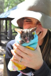 MRIS at Bio Blitz 2018. 15 MRIS at Bio Blitz 2018. 15