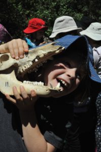 MRIS at Bio Blitz 2018. 4 MRIS at Bio Blitz 2018. 4