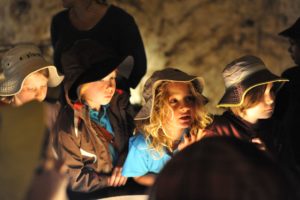 MRIS at Bio Blitz 2018. 16 MRIS at Bio Blitz 2018. 16