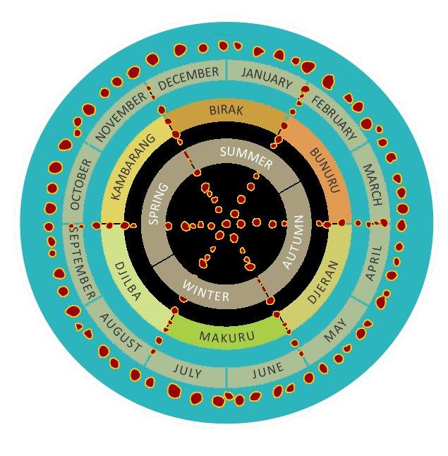 Wadandi Connections 1