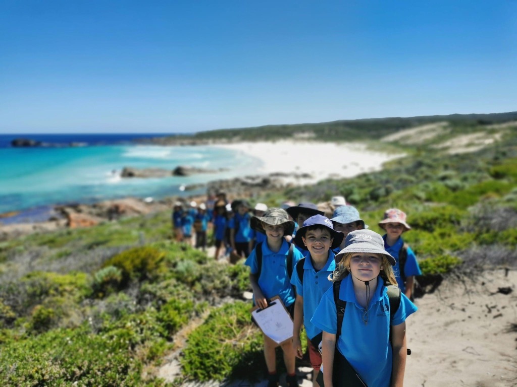 Curriculum and Beyond 3