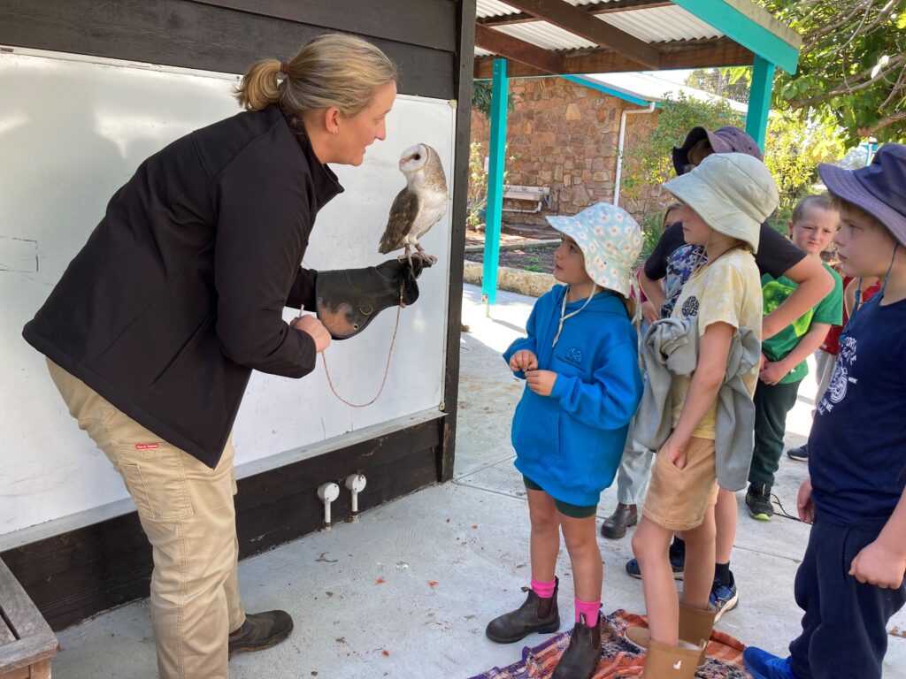 Djeran Bush School: Learning in Nature 2