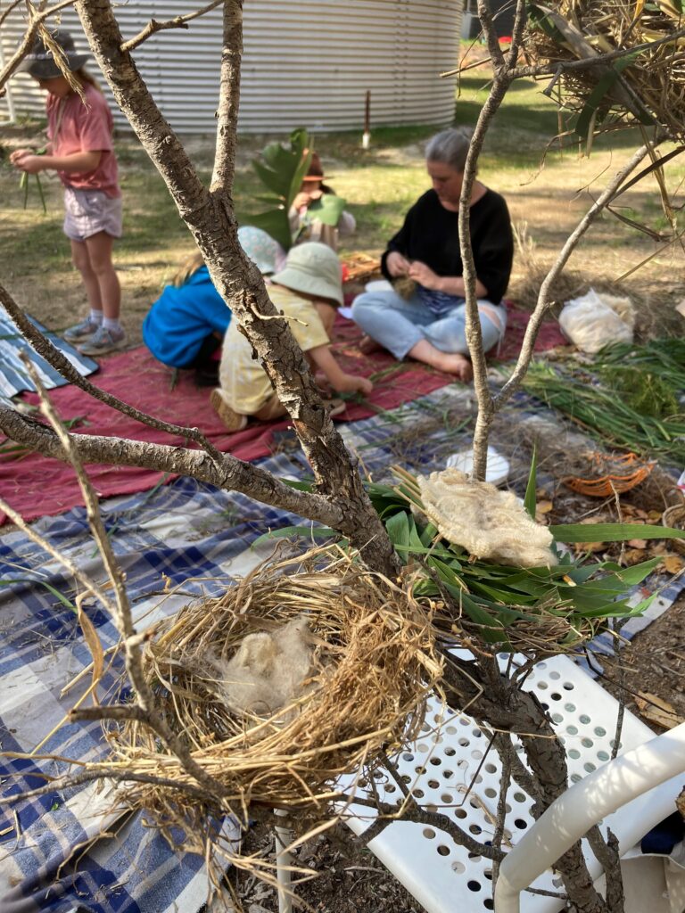 Djeran Bush School: Learning in Nature 3